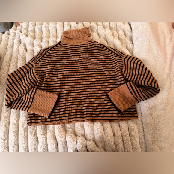 Madewell Brown and Black Striped Turtleneck Sweater - Picture 4 of 7